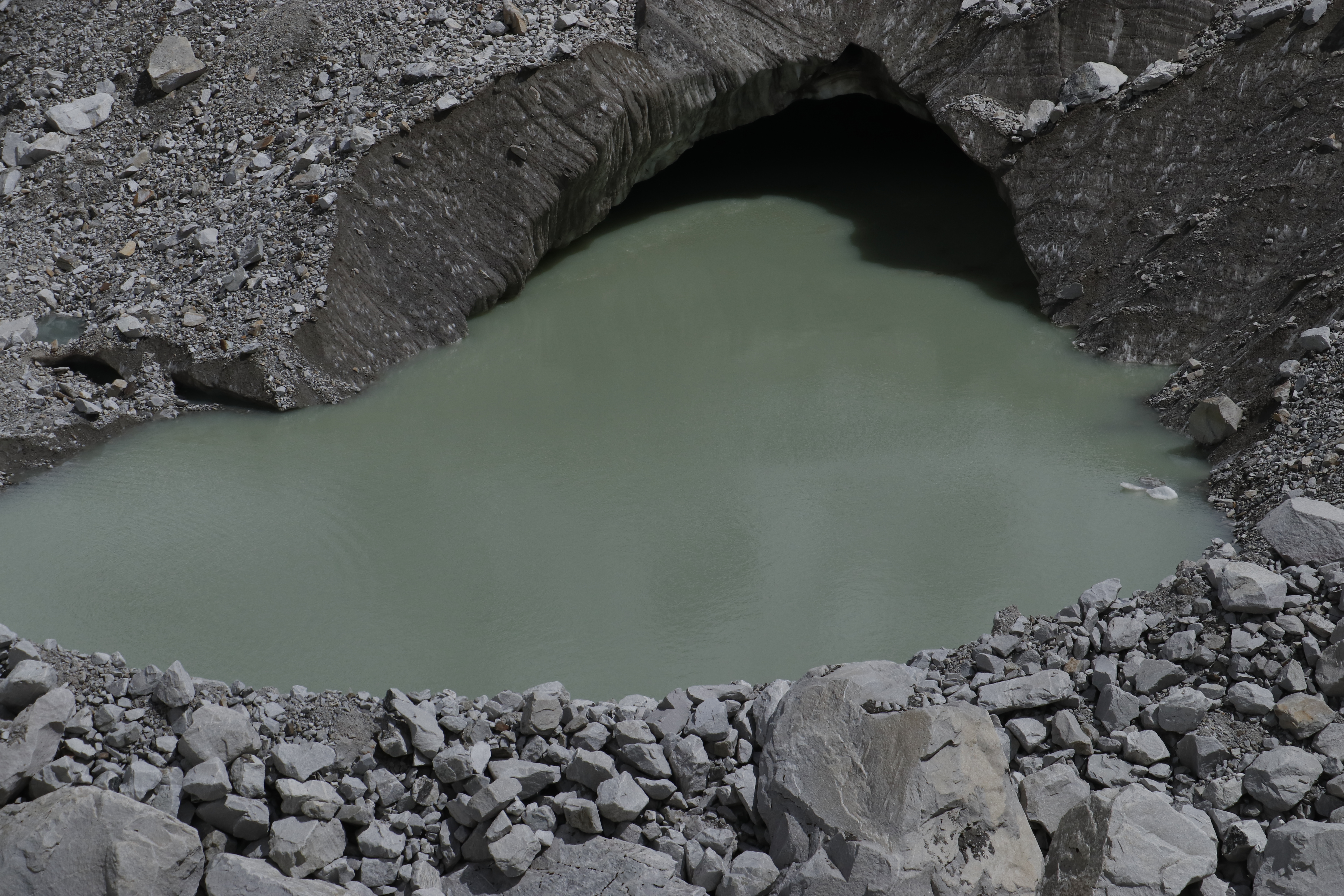 Water seen dark green in black soil